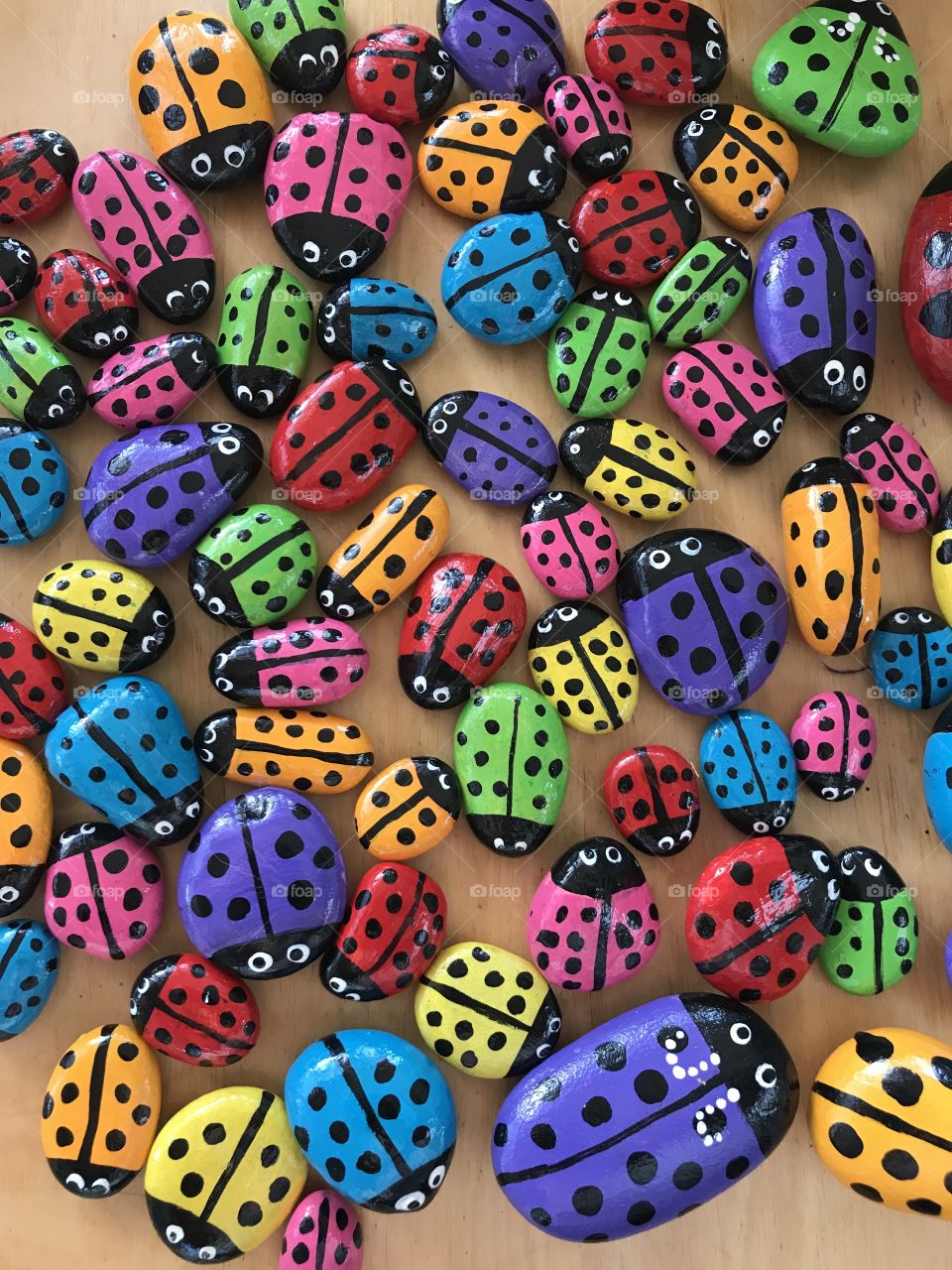Painted Ladybugs
