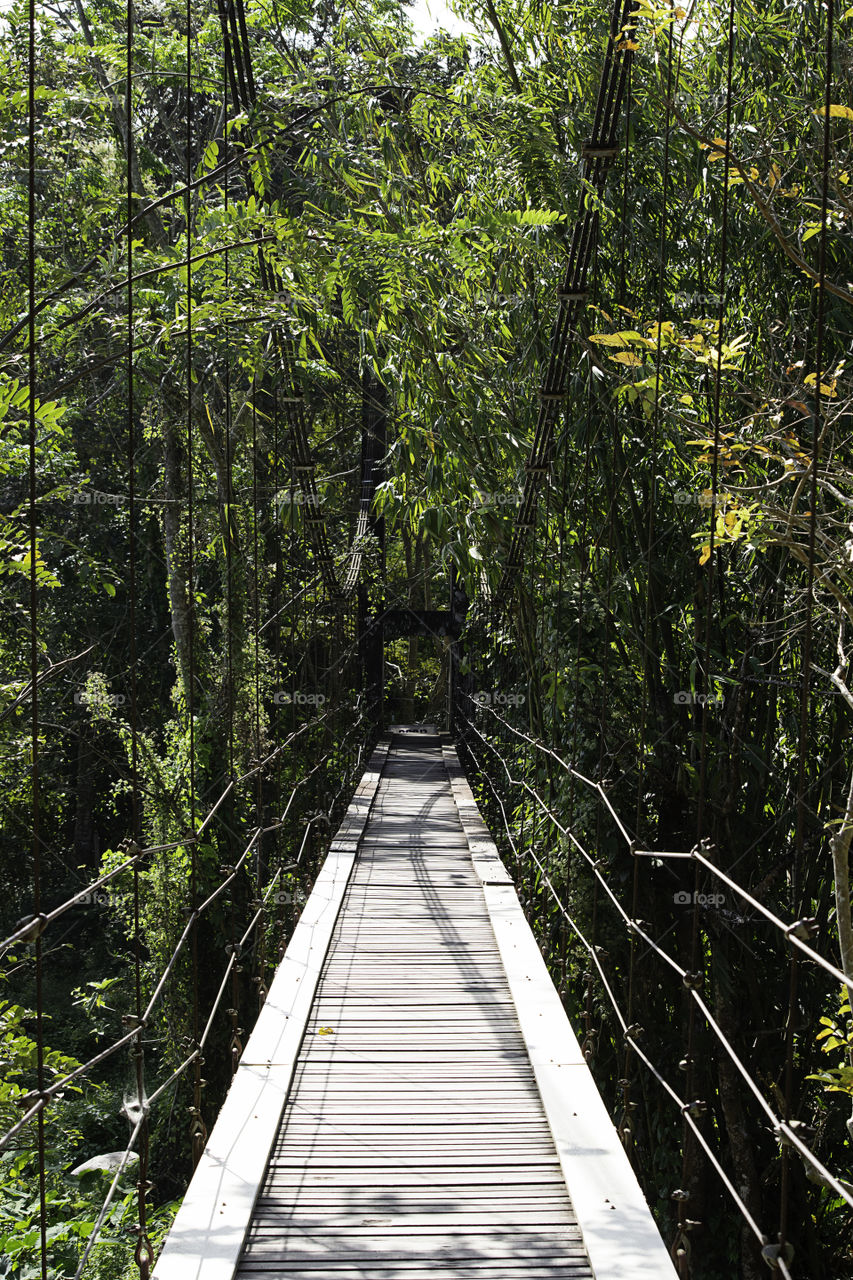 The wooden bridge across the waterfall on a sloping wire rope.