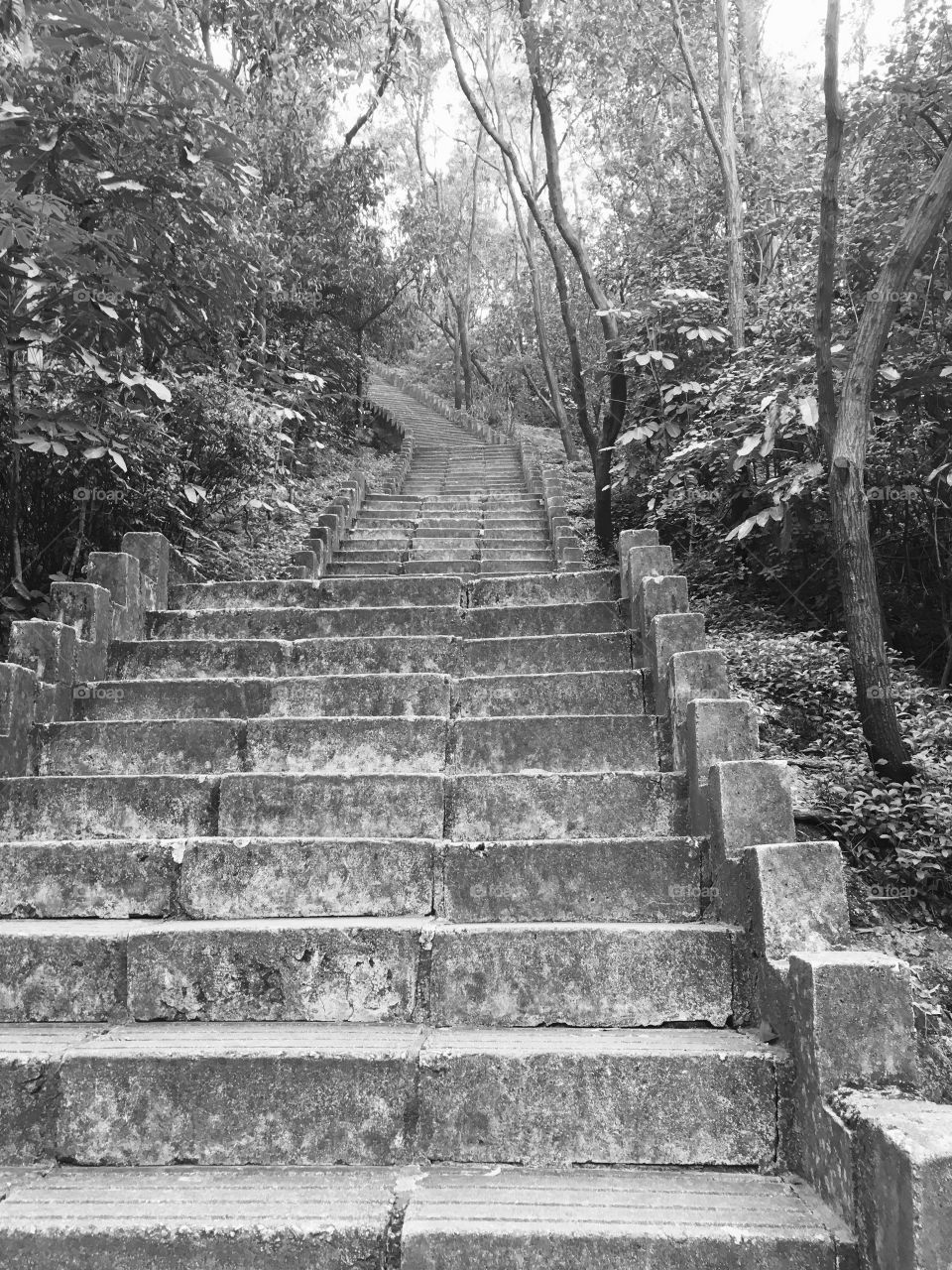 Steps at Nanshan Mountain in Shenzhen, China