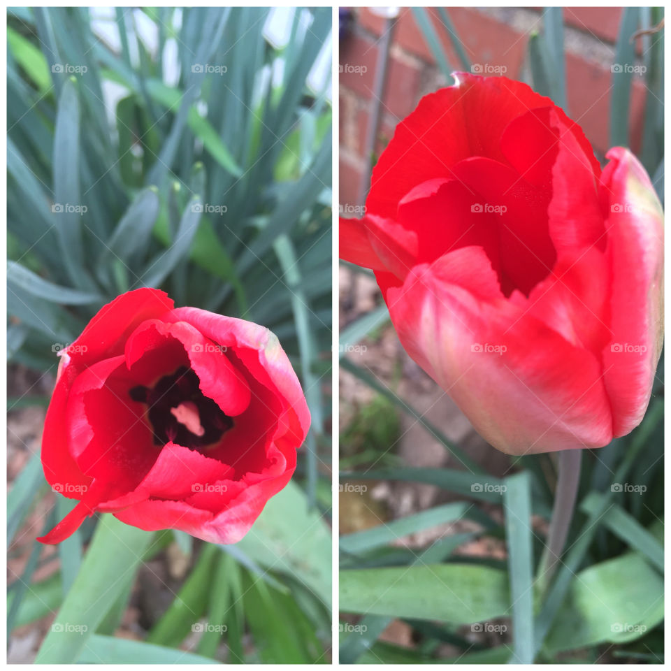 If you just look around you can still see God in the midst of all this chaos love 