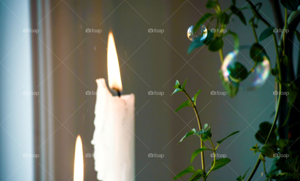 Two bubbles floating in air with two candles flicking flames and fresh leaves of growing plant conceptual symbolic background 