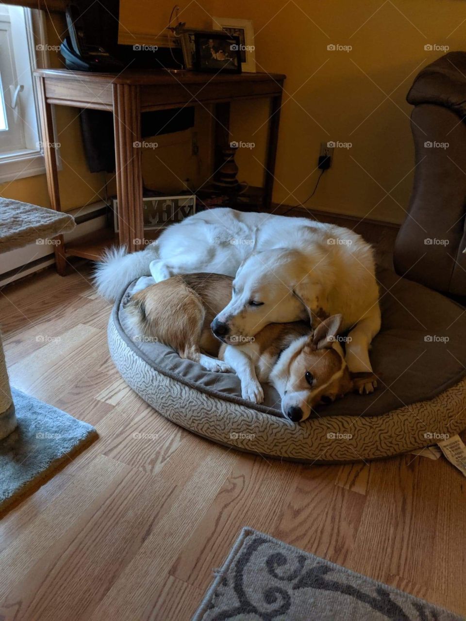 A happy time with my bro!