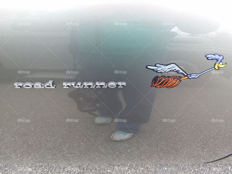 road runner, decal