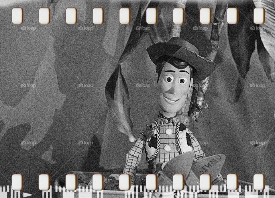 Photo session with Woody