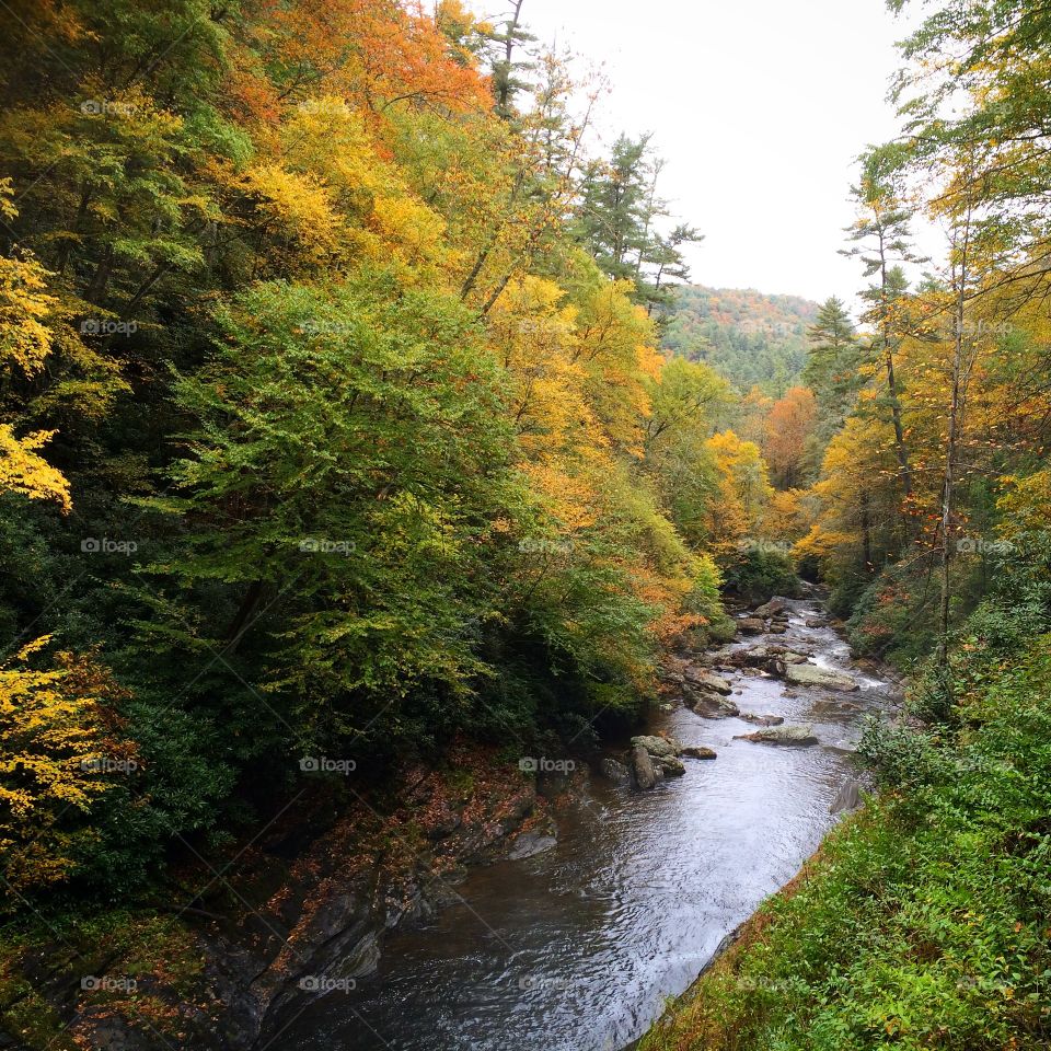 North Carolina 