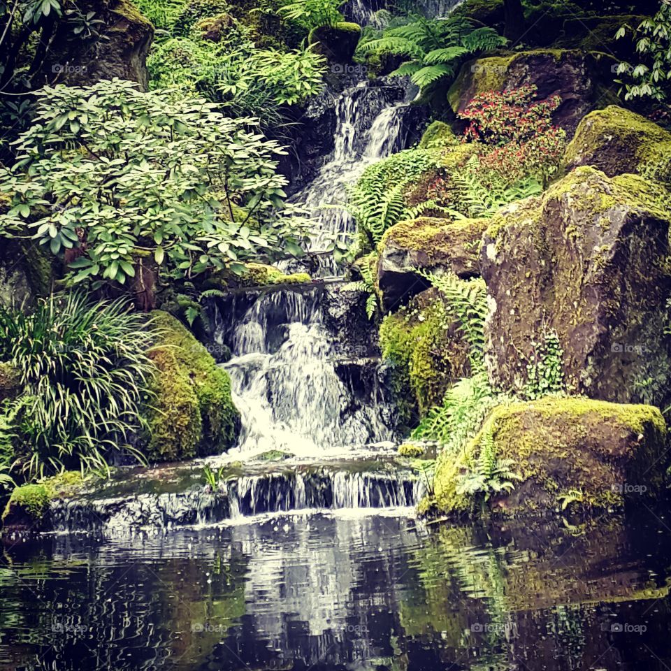 Japanese garden water fall