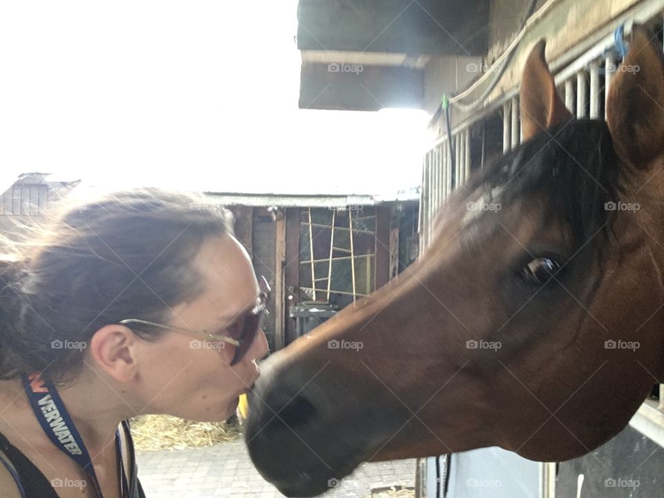 Kiss the sweet horse