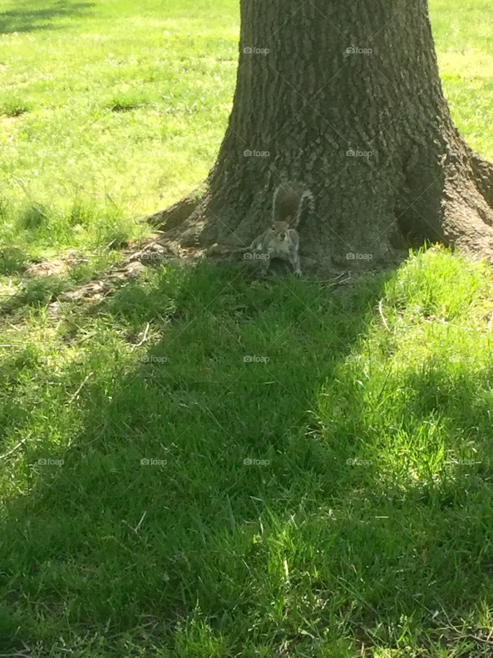 In the park 