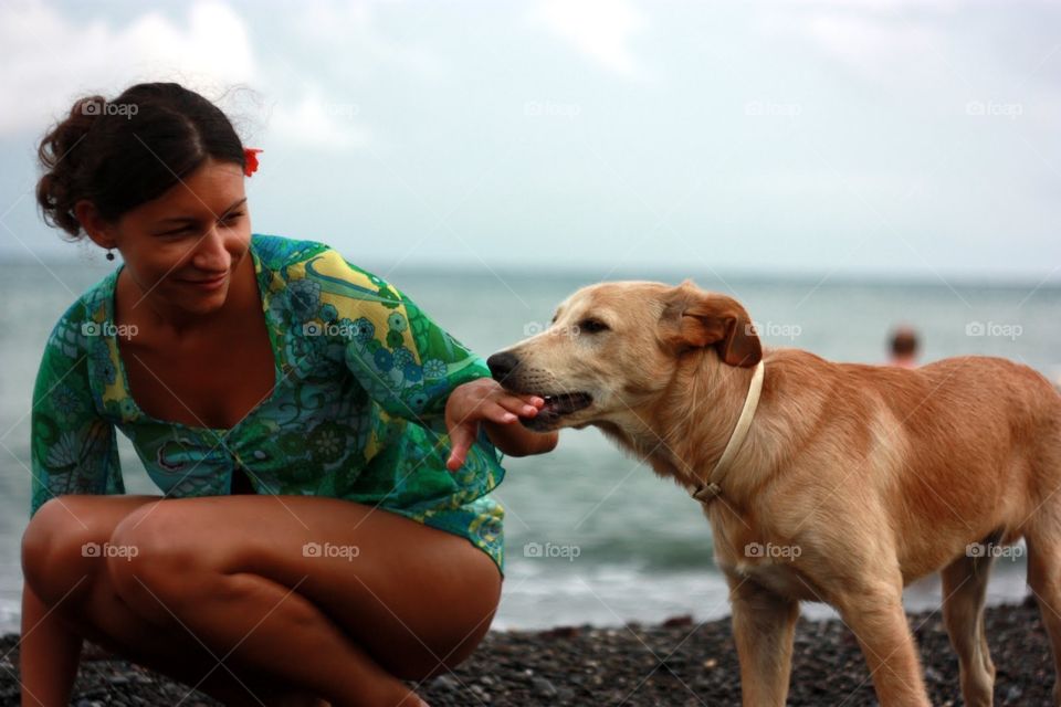 Beach, Water, Dog, Summer, Outdoors