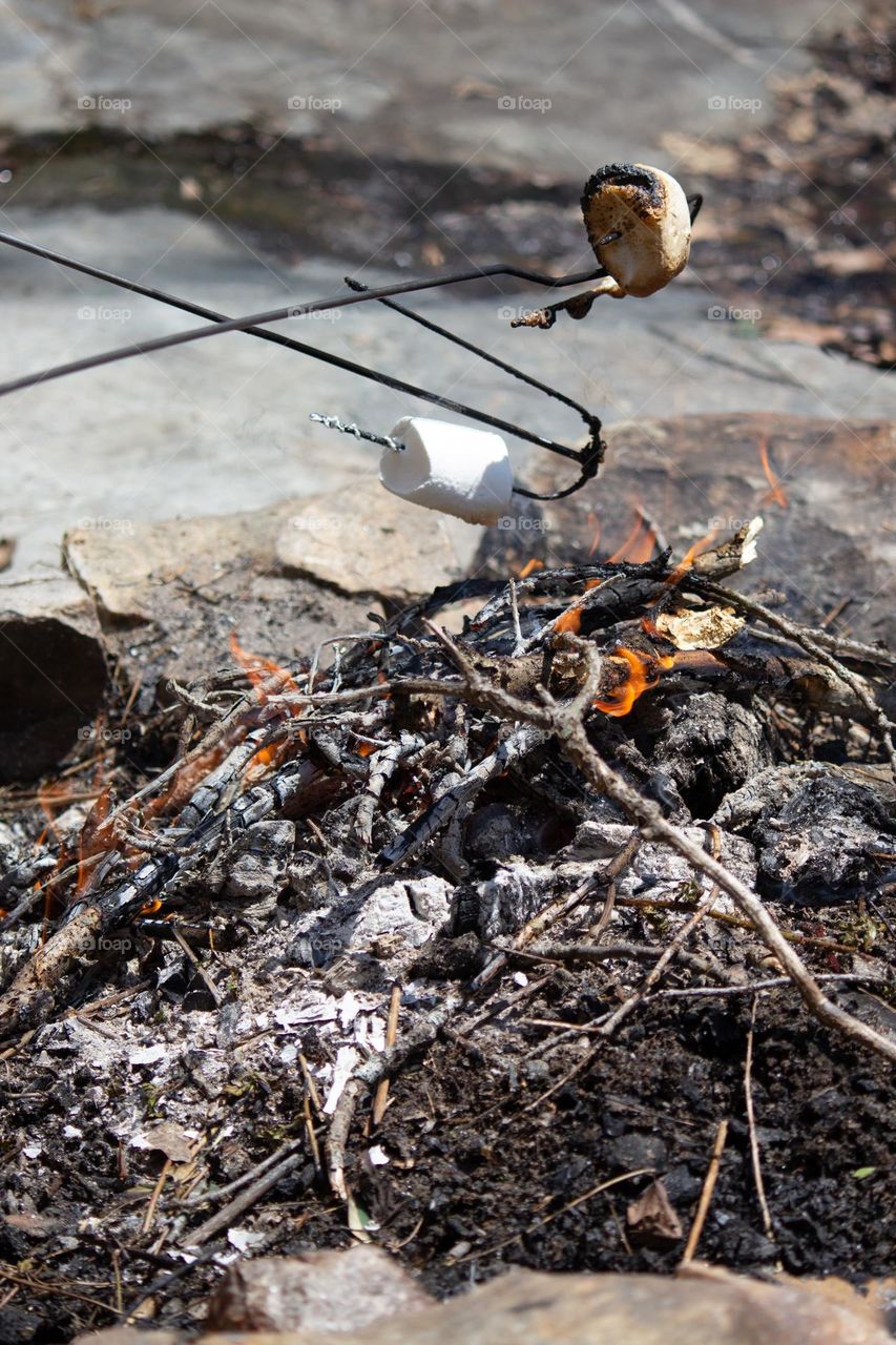Two marshmallows on sticks being held over a small camp fire.