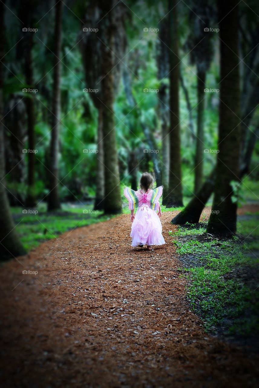 Woodland fairy