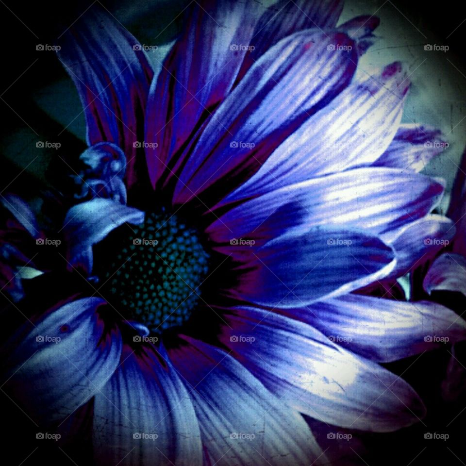 paradise. lighting effects