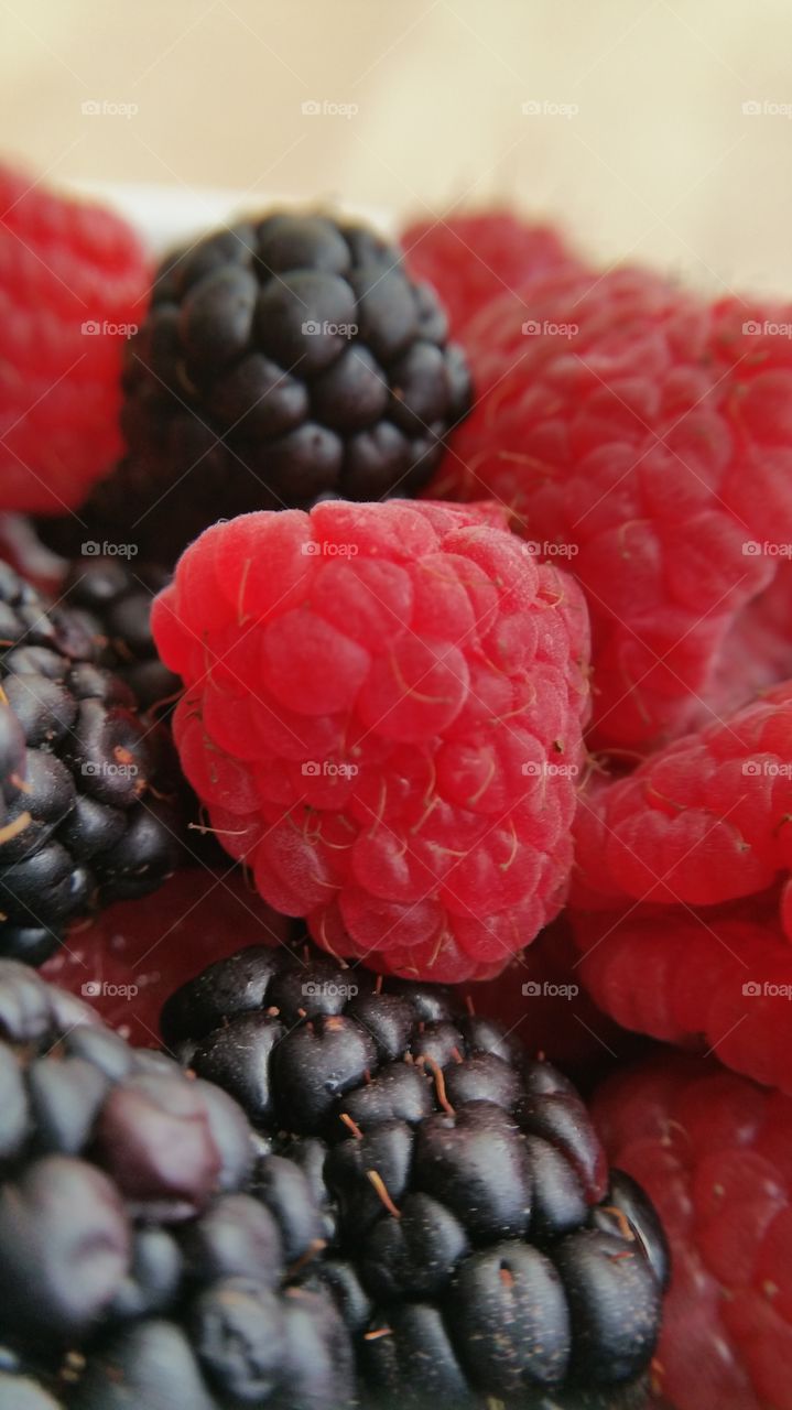 Fruit, Juicy, Berry, Blackberry, Food