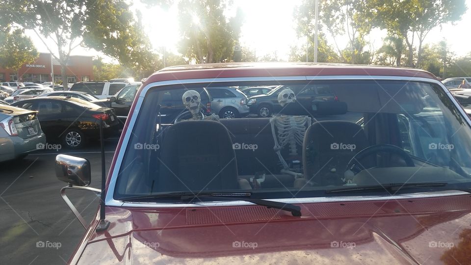 skeletons the backseat of a car