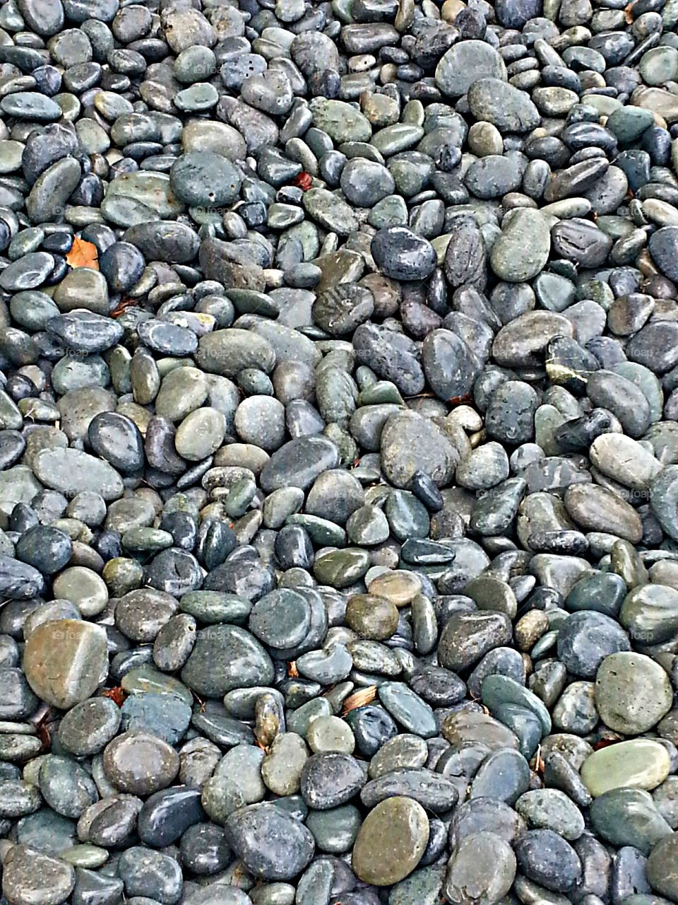Pebbles & Rocks