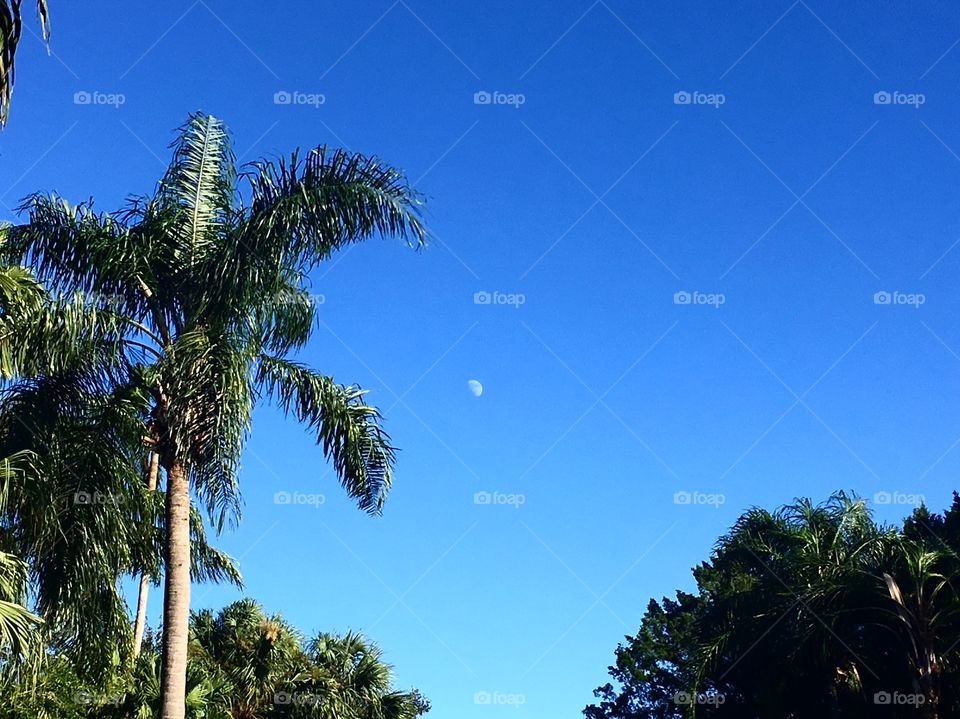 Being able to see the moon in the afternoon 