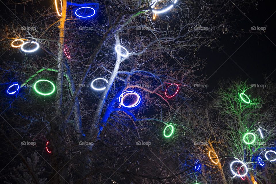 ring shaped garland on tree. decorative elements