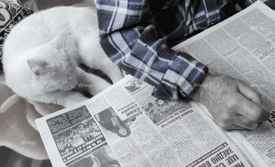 Daily cat news