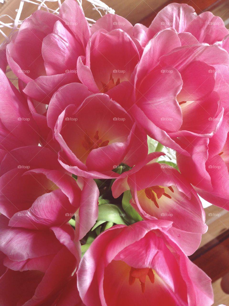 Pattern of pink tulips 