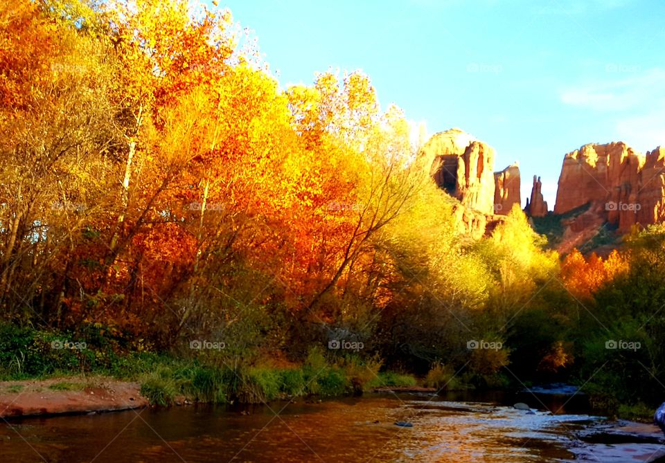 Autumn colors in Red Rock country