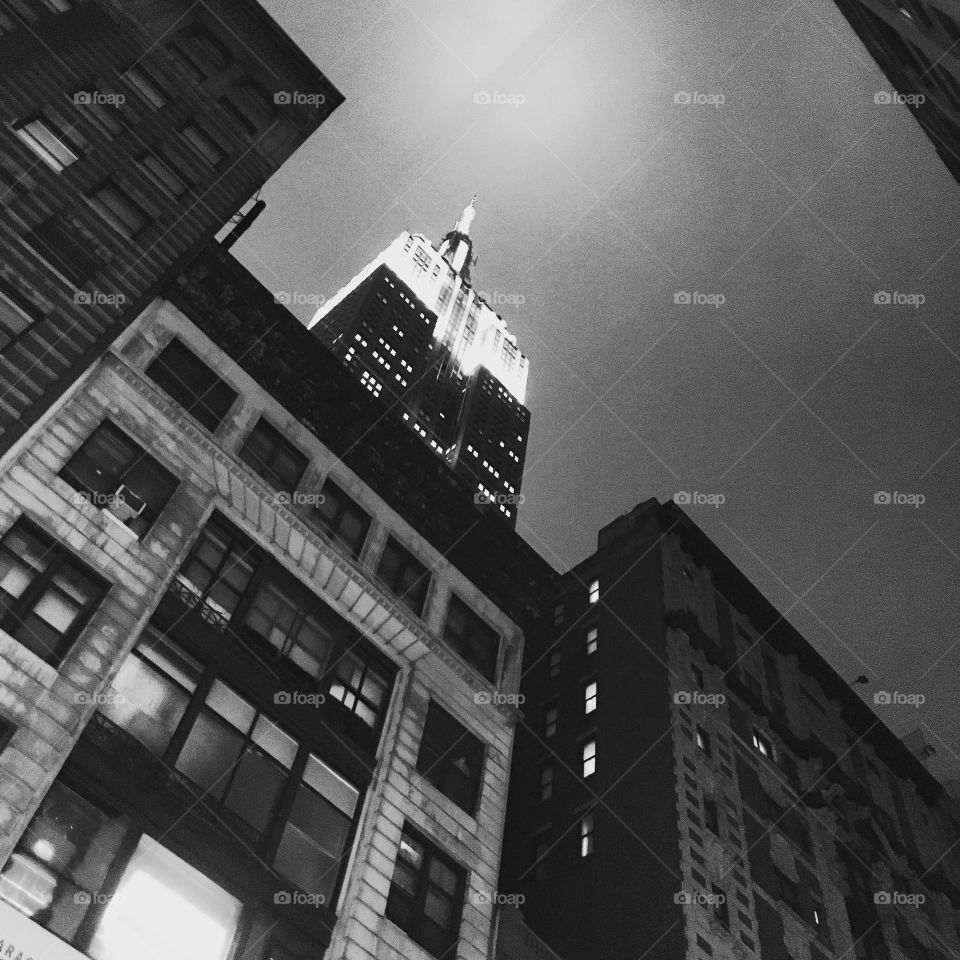 The Empire State Building, New York, NY