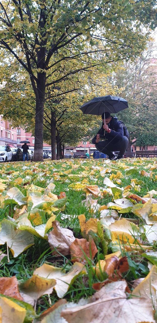 Nature#autumn#human#leaves