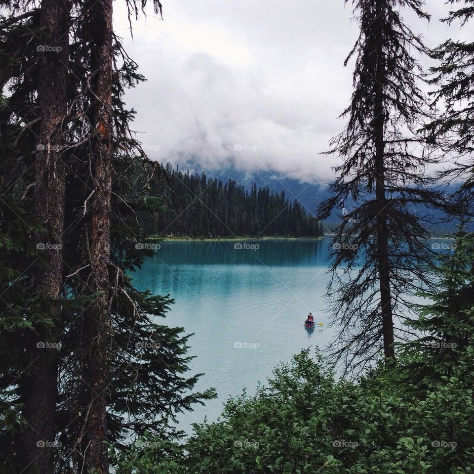 Scenic view of lake