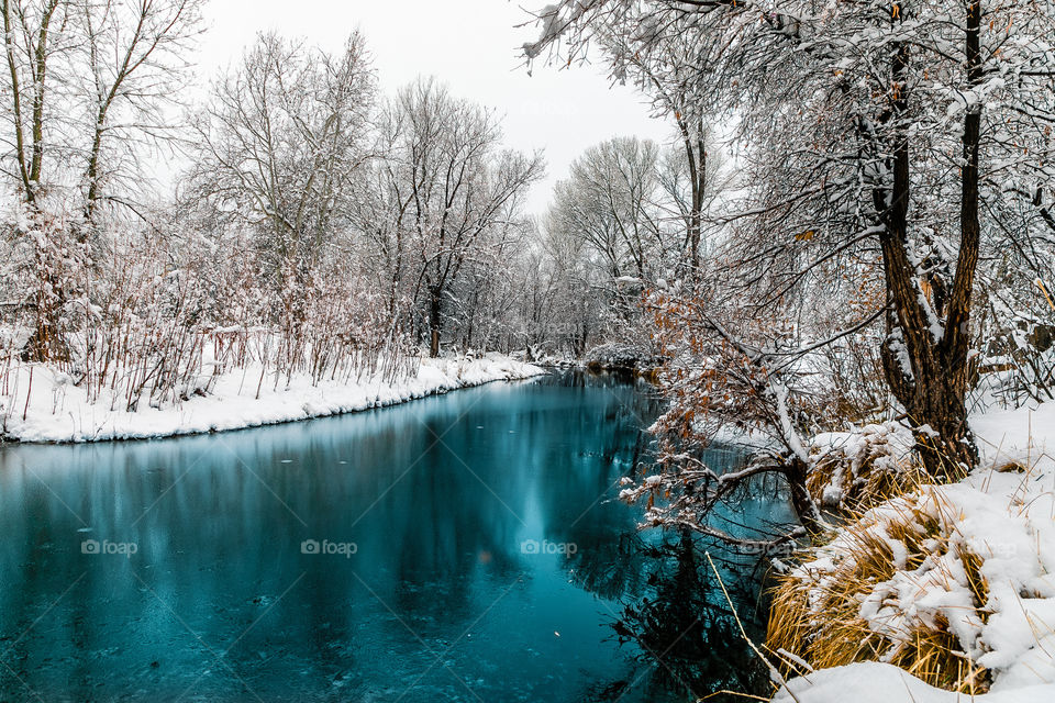 Fresh nnowfall along a partially frozen creek