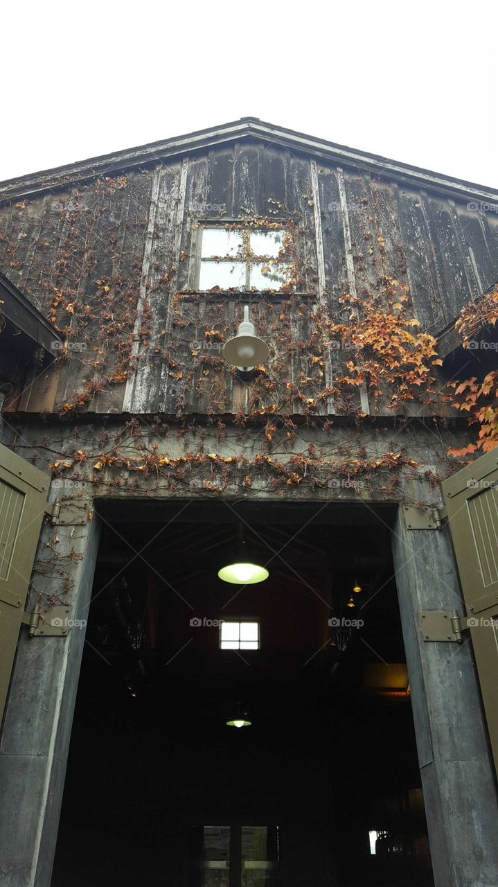 barn door at winery