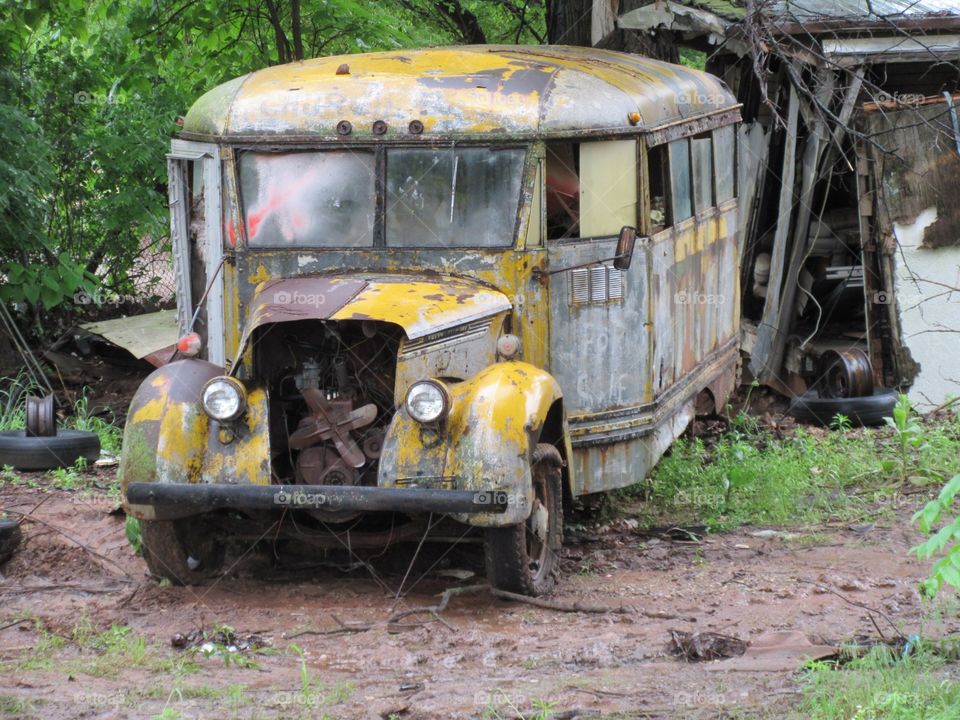 Old Yellow Bus