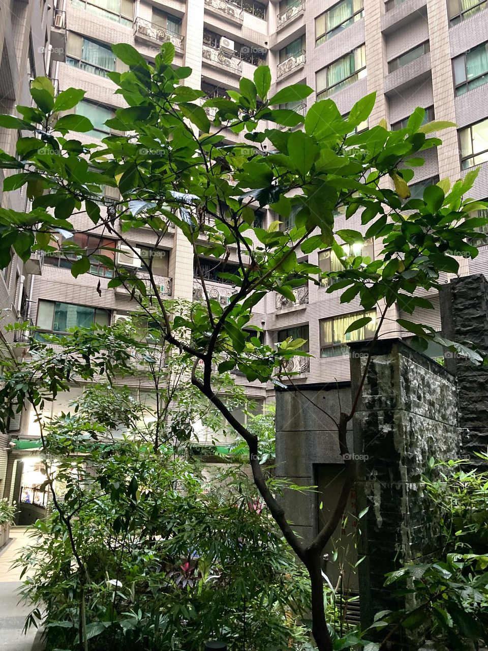 courtyard under the building