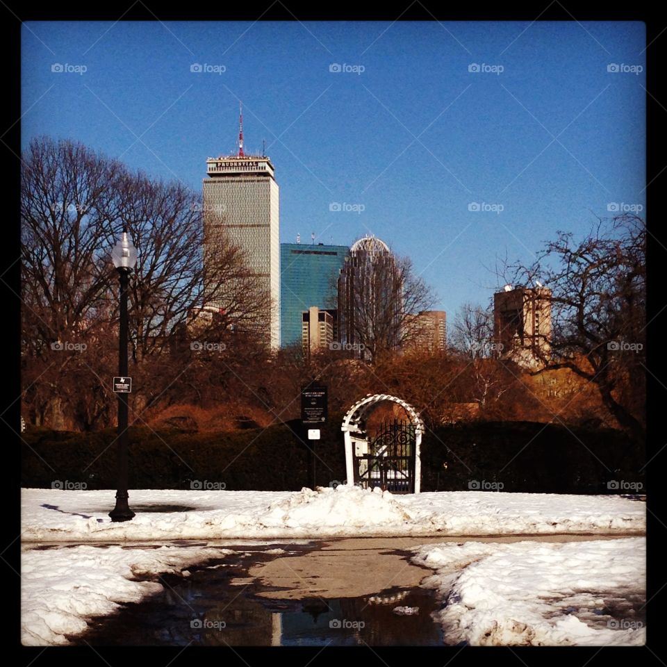 Boston views in winter