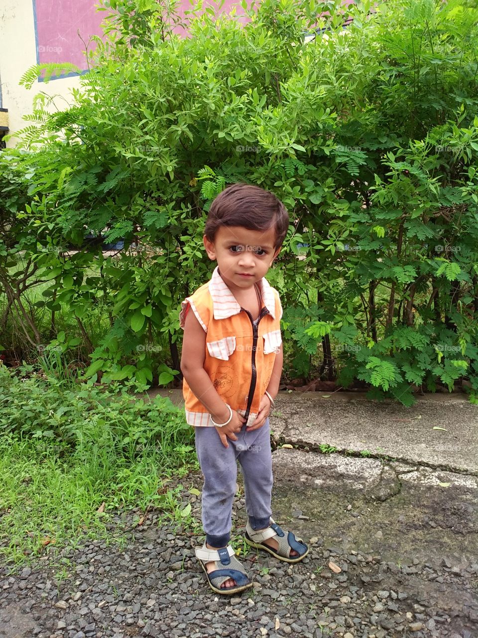 my jigar