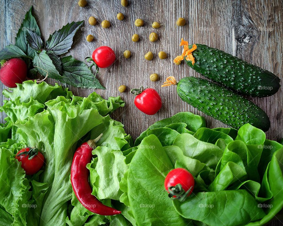 Green color.On a wooden surface lie green leaves "Aquino Salad" and "Leaf Lettuce".Nearby are two green cucumbers with yellow ovaries and a sprig of basil. Scattered over the entire surface of the composition are red cherry tomatoes and red radishes.