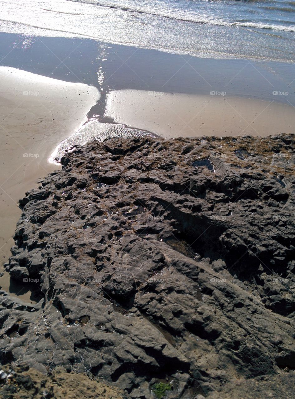 Rocks on an Oregon Beach