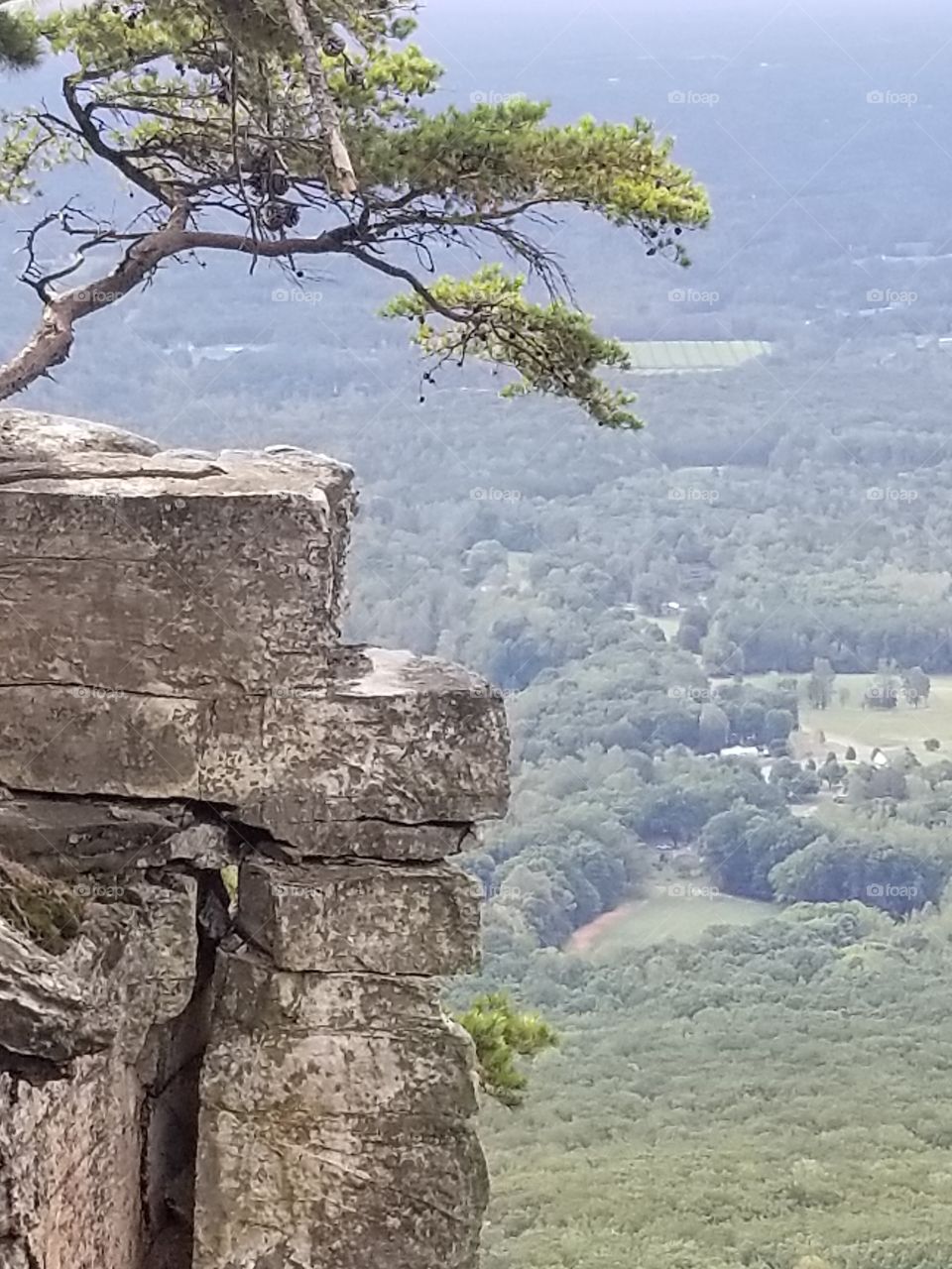 Rock ledge with lone tree atop a mountain.