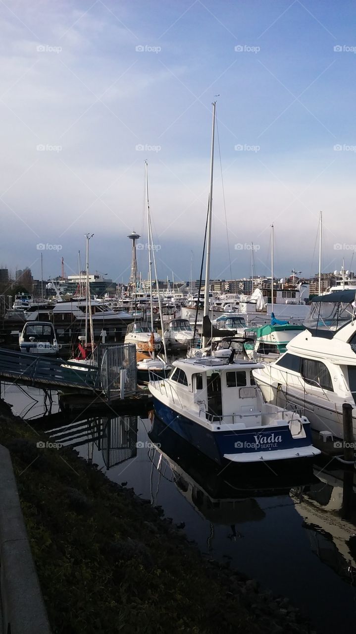 Needle In A Bay Stack