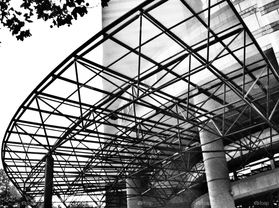 Architecture. Spaceframe Canopy