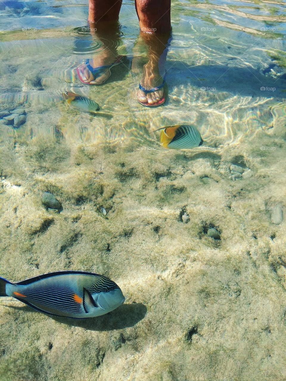 sell your first photo on foap