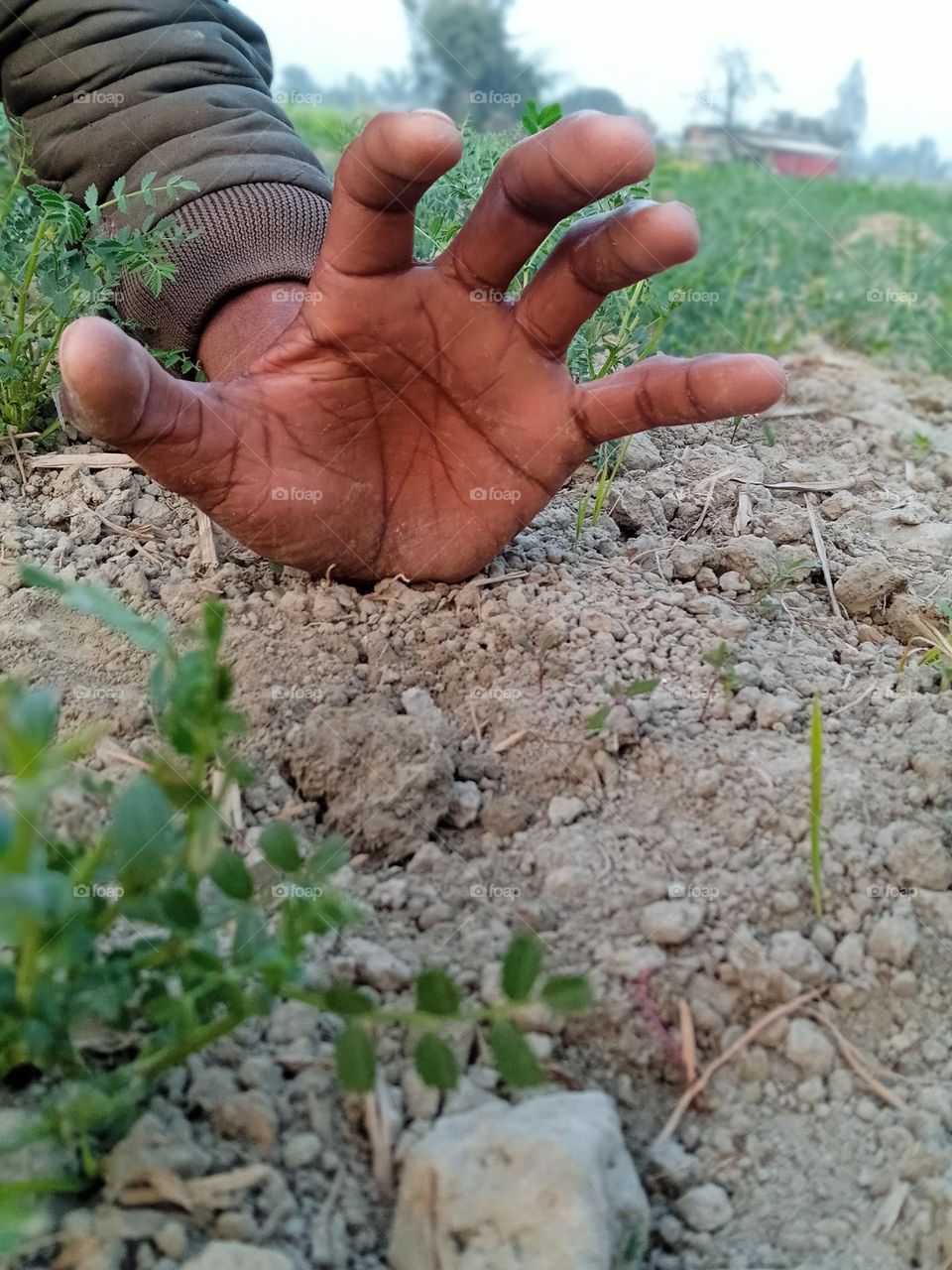 hand and fingers photography Indian