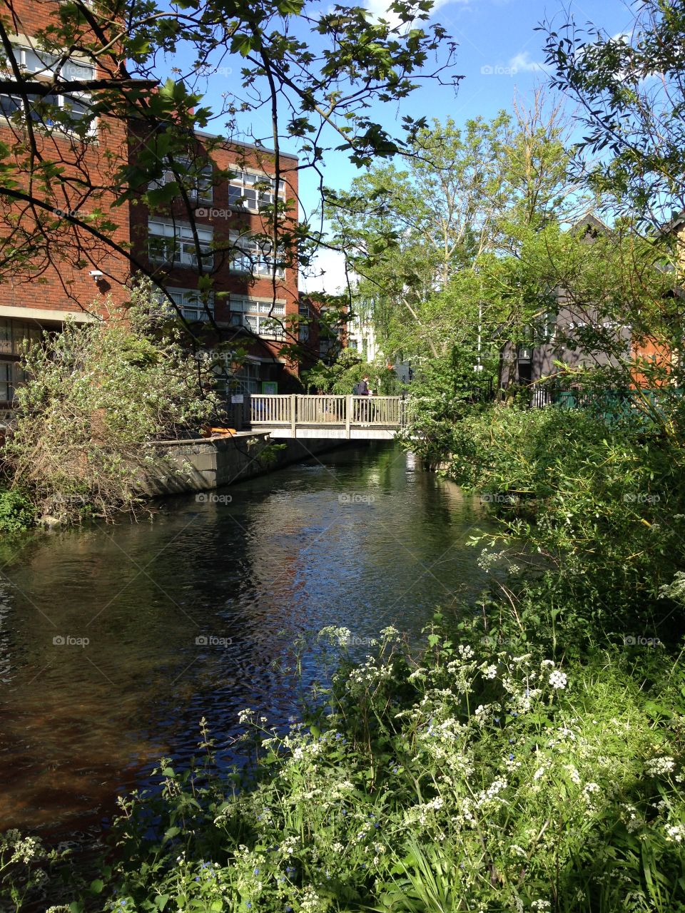 Bridge on the Hogsmill 