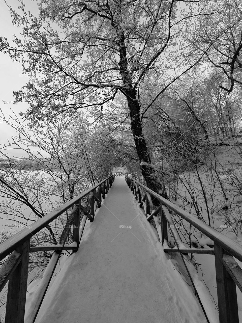 The snow came and it was like a miracle .
Once again bright and white dreams came alive in my heart