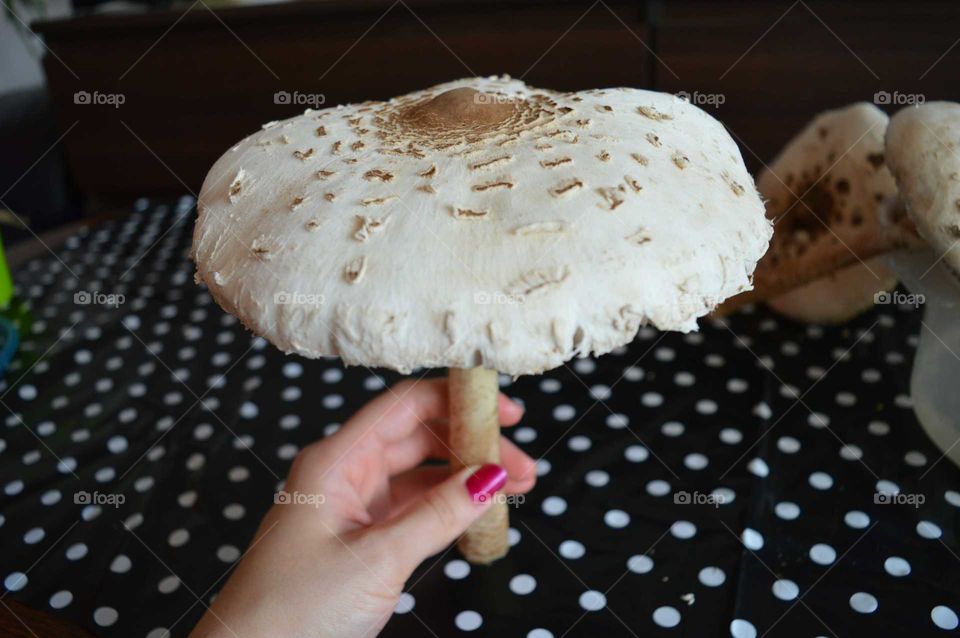 delicious polish mushroom - food details