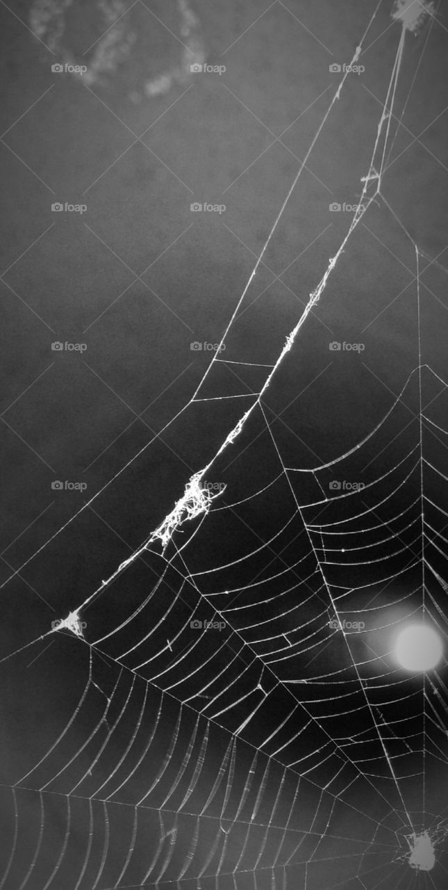 At an ending of an inventory.  Shot with my S5