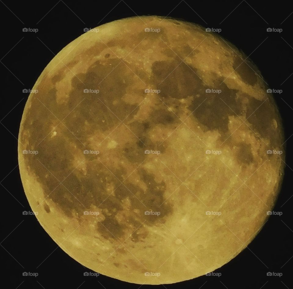 the yellow moon