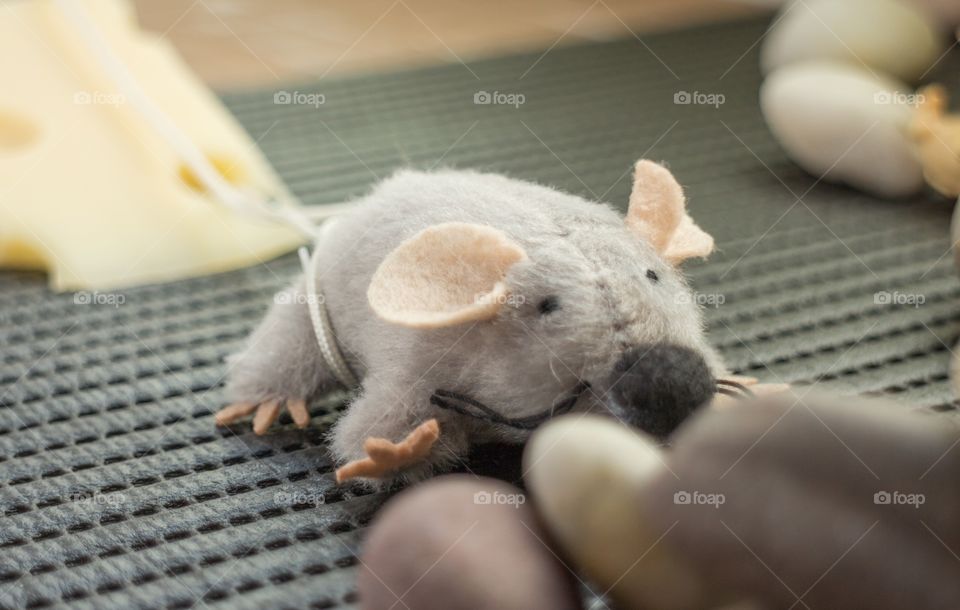 Mouse steals cheese 