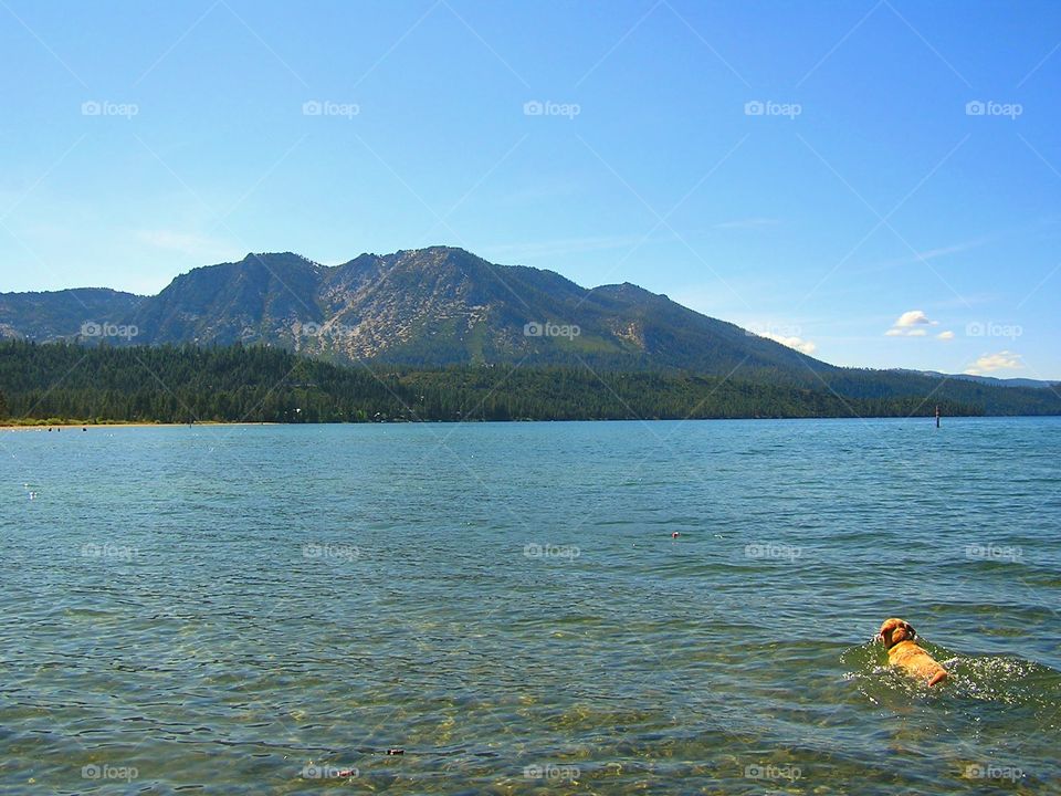 Breathtakingly. Someone was ready for a long swim