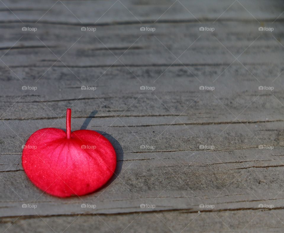Red petal, grey deck