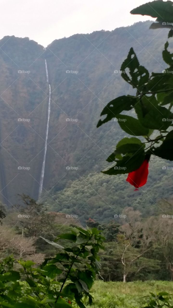 waipio Valley Waterfall