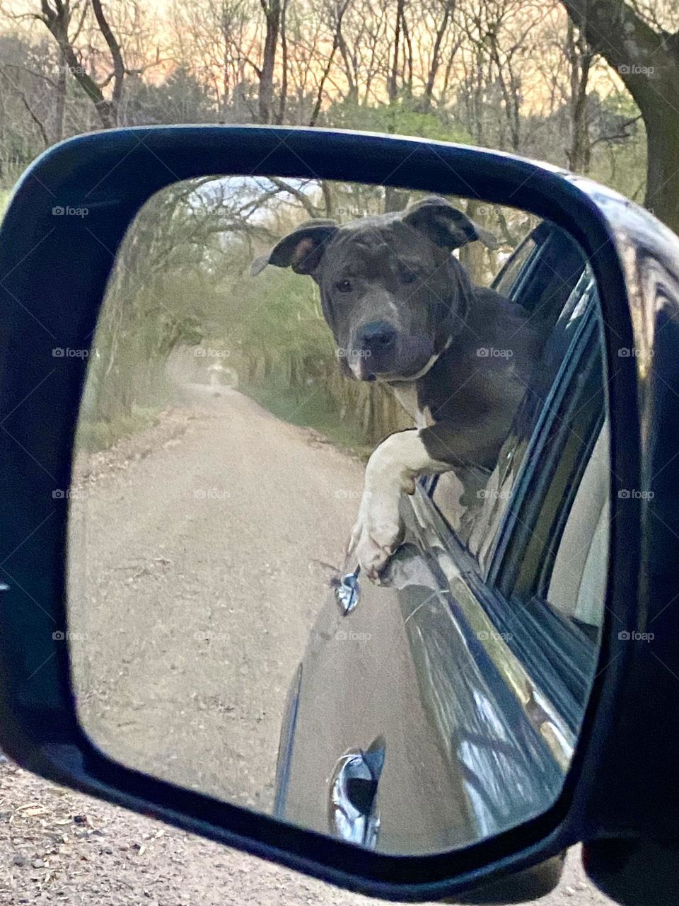My pretty boy in the mirror. 